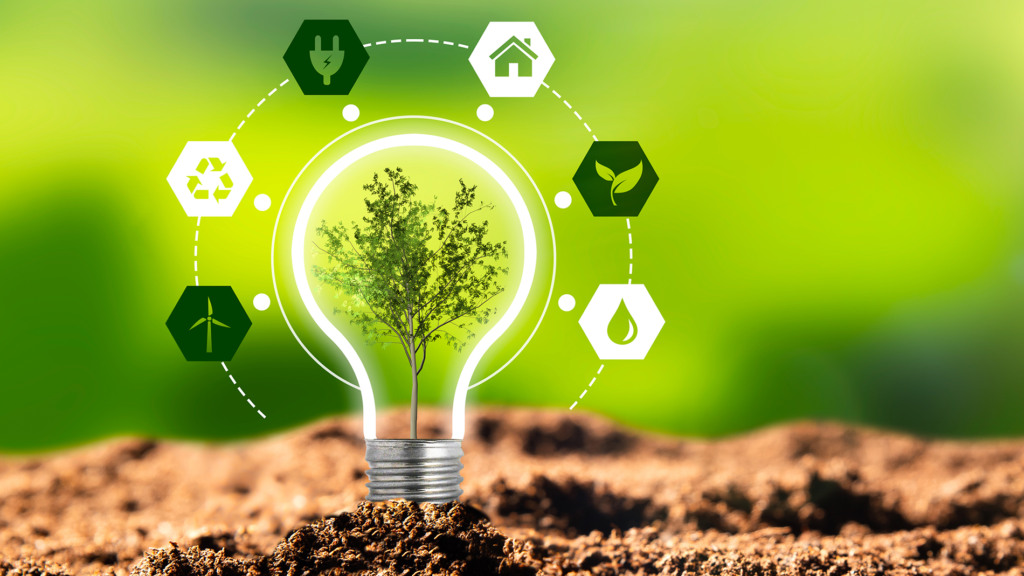 Environmental protection, renewable, sustainable energy sources. Plant growing in the bulb concept Environmental protection, renewable, sustainable energy sources. Plant growing in the bulb concept