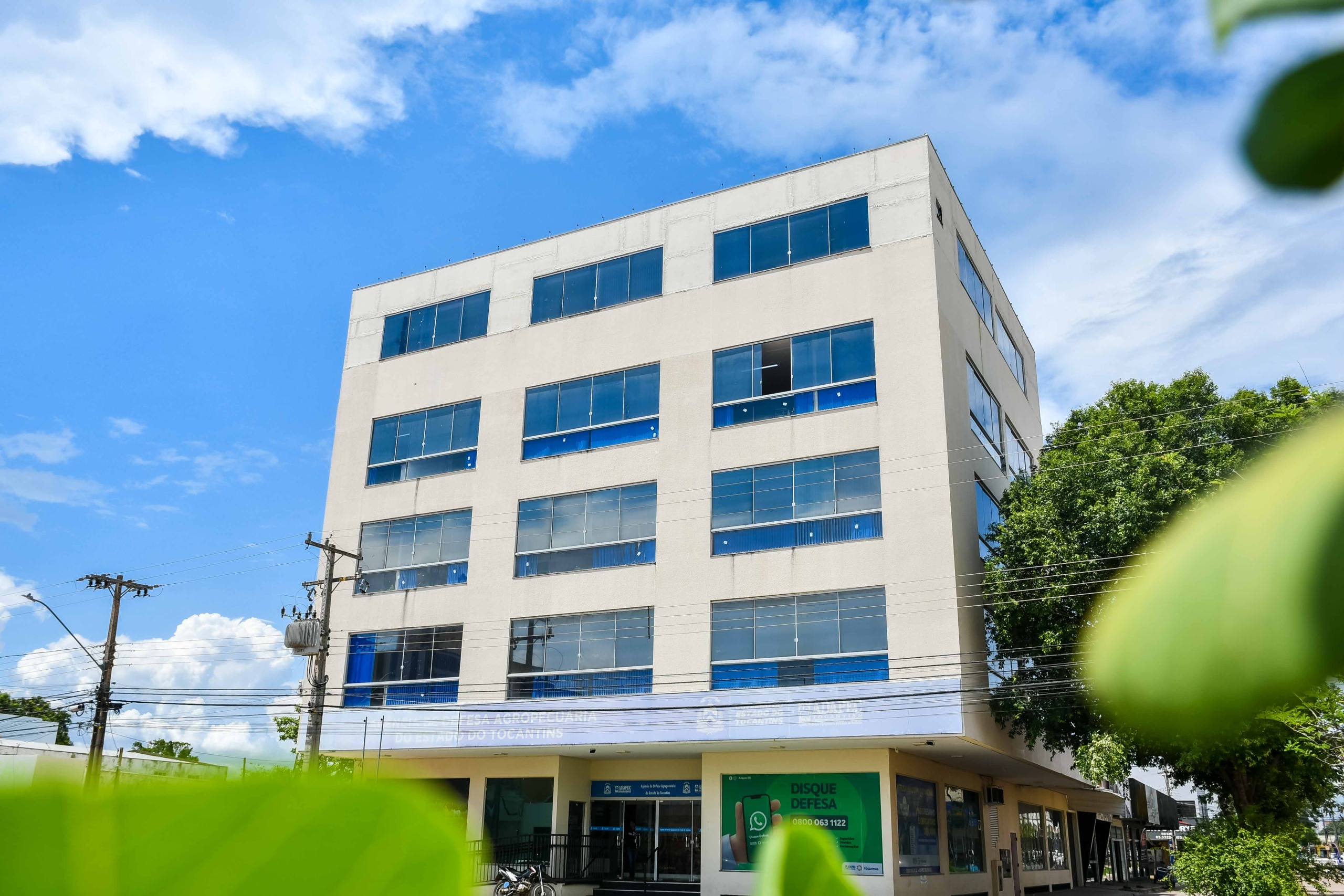 Adapec 25 anos: agência celebra avanços e conquistas na defesa agropecuária tocantinense