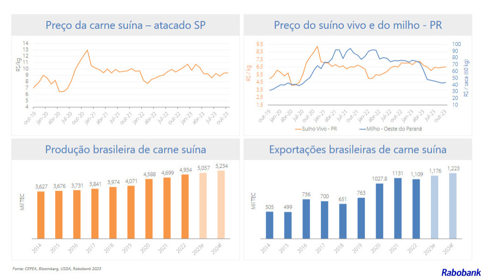 Produção e exportação de suínos no Brasil rumo a novo recorde em 2024