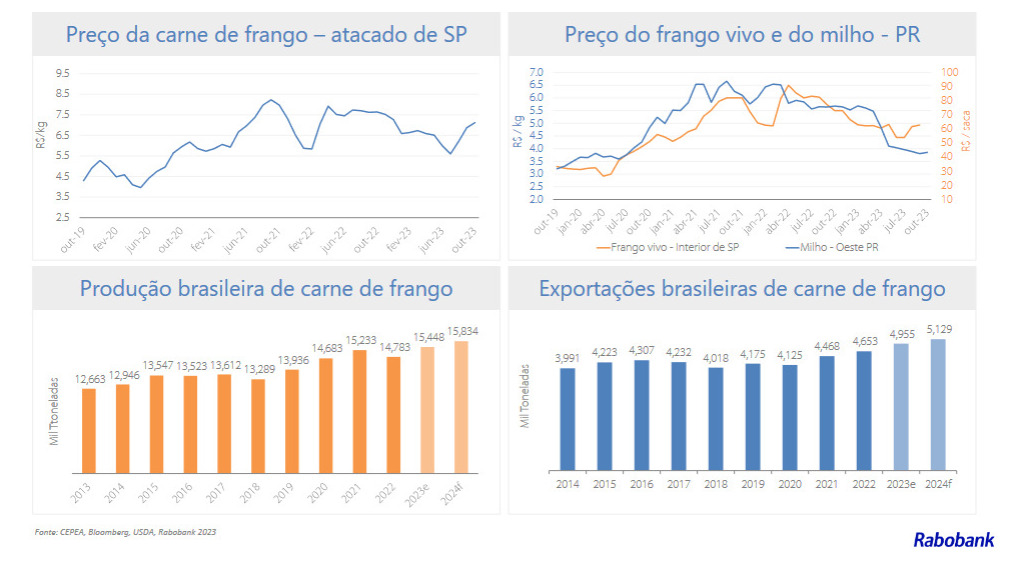 Mercado avícola terá oferta e demanda em expansão em 2024