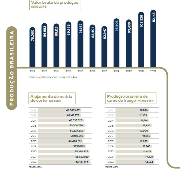 O que é avicultura? Conheça os tipos e a sua importância