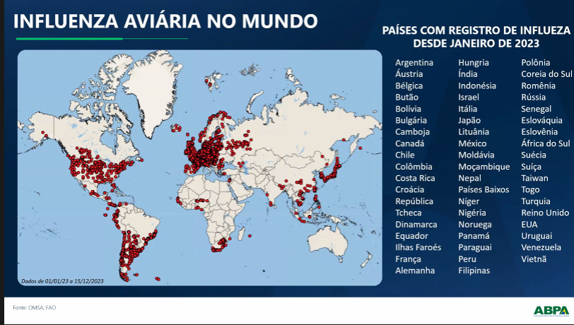 ABPA releva projeção de alta para a produção de frango em 2024