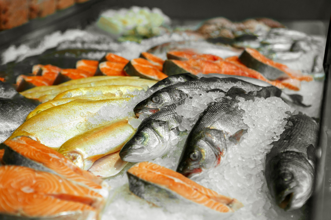 Close up of cooled seafood - trout, sockeye, sea bass, in the market of a fish shop, supermarket, horizontal frame, side view Close up of cooled seafood - trout, sockeye, sea bass, in the market of a fish shop, supermarket, horizontal frame, side view