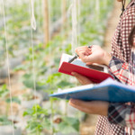 CNA esclarece regras sobre uso de chapéu e capacete no trabalho rural previstas na NR-31