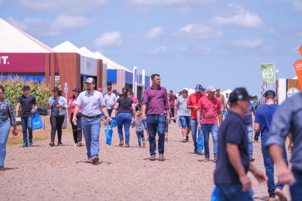 C.Vale acelera os preparativos para o Dia de Campo de Verão previsto para 23 e 24 de janeiro