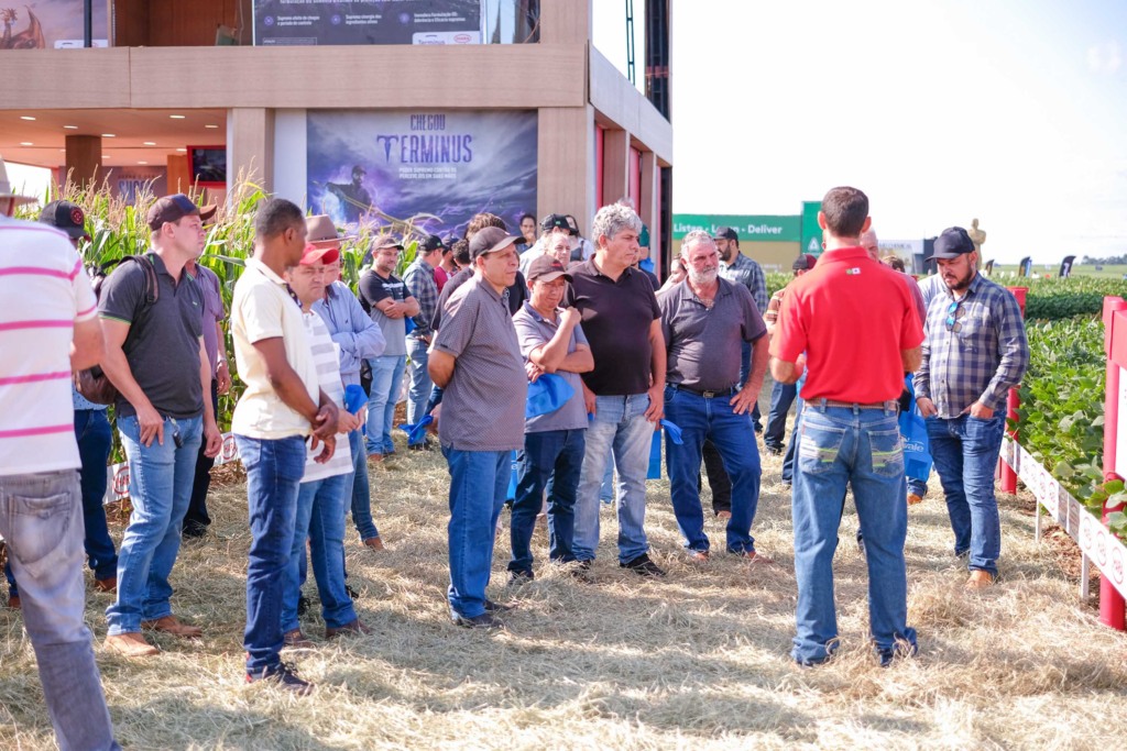 C.Vale acelera os preparativos para o Dia de Campo de Verão previsto para 23 e 24 de janeiro