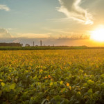 COP30 começa em Belém com desafios em relação a energias fósseis e financiamento