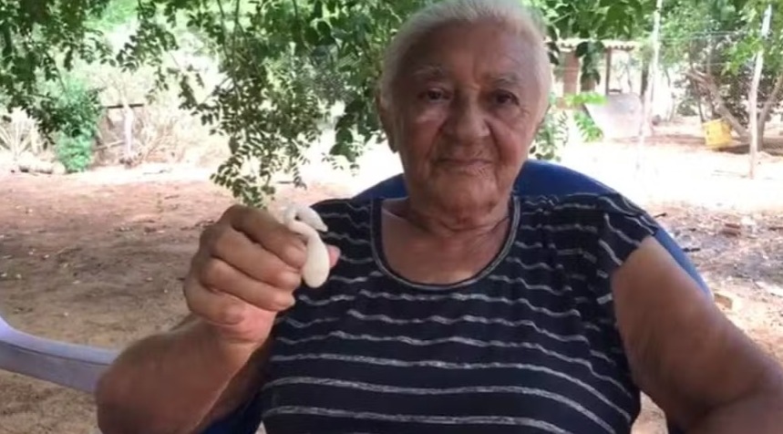 Galinha põe ovo em forma de pato no Rio Grande do Norte