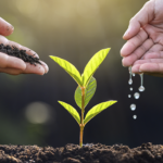 São Paulo reforça compromisso com a agricultura sustentável na inauguração do STAC/USP