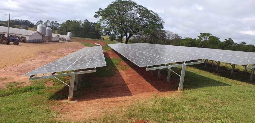 Programa Frango Vida do Governo de MS impulsiona avicultura com incentivos superiores a R$ 35 milhões