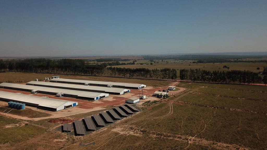 55% das granjas de produtores integrados a Seara já utilizam energia solar 55% das granjas de produtores integrados a Seara já utilizam energia solar