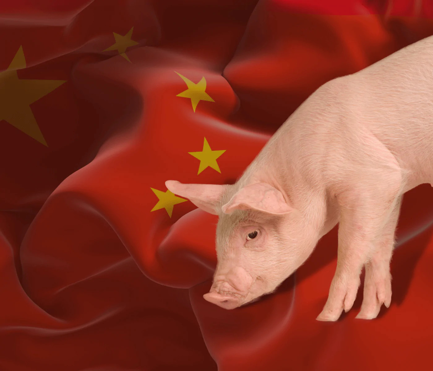 China registra maior produção de carne suína em pelo menos uma década no terceiro trimestre China registra maior produção de carne suína em pelo menos uma década no terceiro trimestre