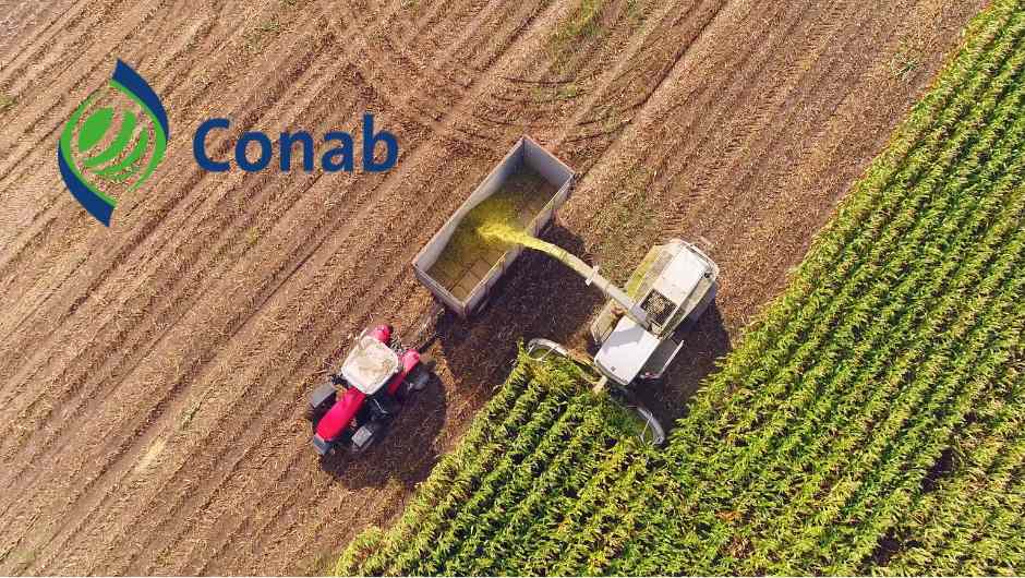 Conab divulga as datas de levantamento das safras agrícolas e do mercado hortigranjeiro em 2024