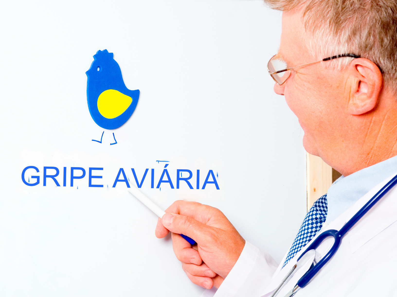 Piauí estende decreto de emergência zoossanitária devido aos riscos da gripe aviária