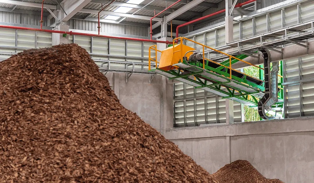 Projeto transfronteiriço utiliza biomassa para aquecer aldeia de Vila Pouca de Aguiar
