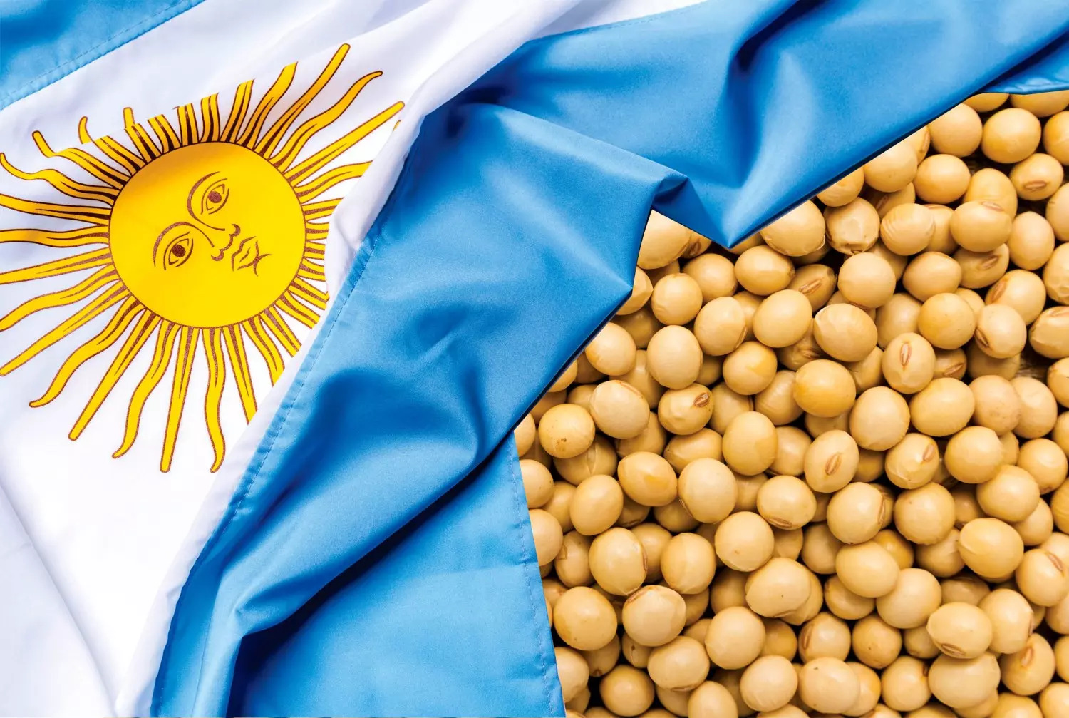 Aumento da taxa de exportação sobre produtos agrícolas afeta renda dos produtores na Argentina