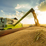 Impacto da redução na estimativa de safra de soja