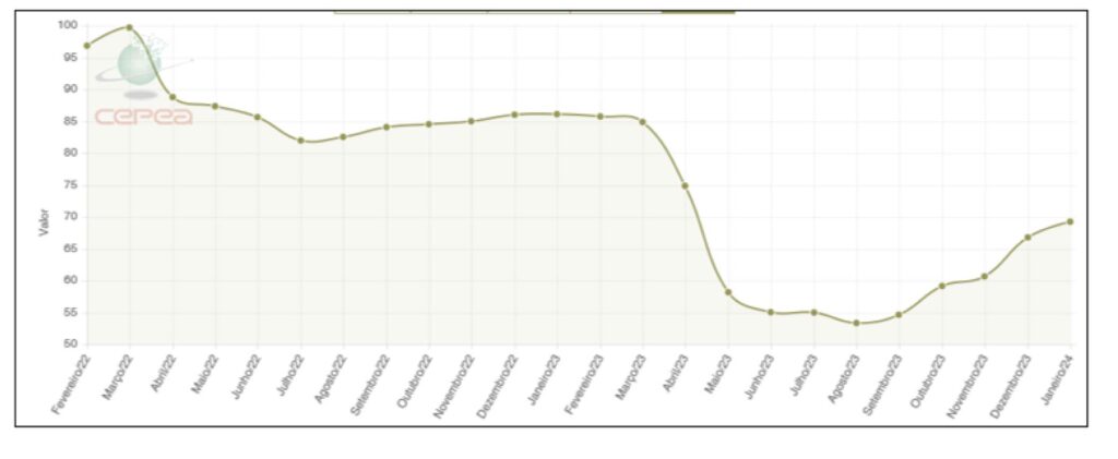 Recorde de exportação, estabilização da produção e queda no custo de insumos marca o ano de 2023 para a suinocultura