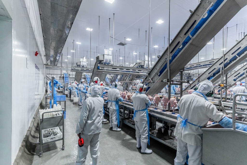 Levo Alimentos em Umuarama (PR) recebe certificação para ampliar abate de frango