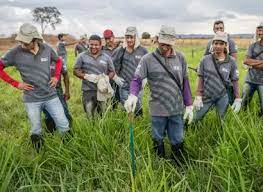 Dia do Agronegócio: demanda por profissionais com ensino superior segue em crescimento