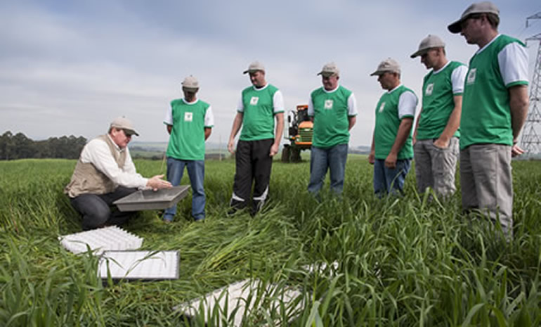 Dia do Agronegócio: demanda por profissionais com ensino superior segue em crescimento