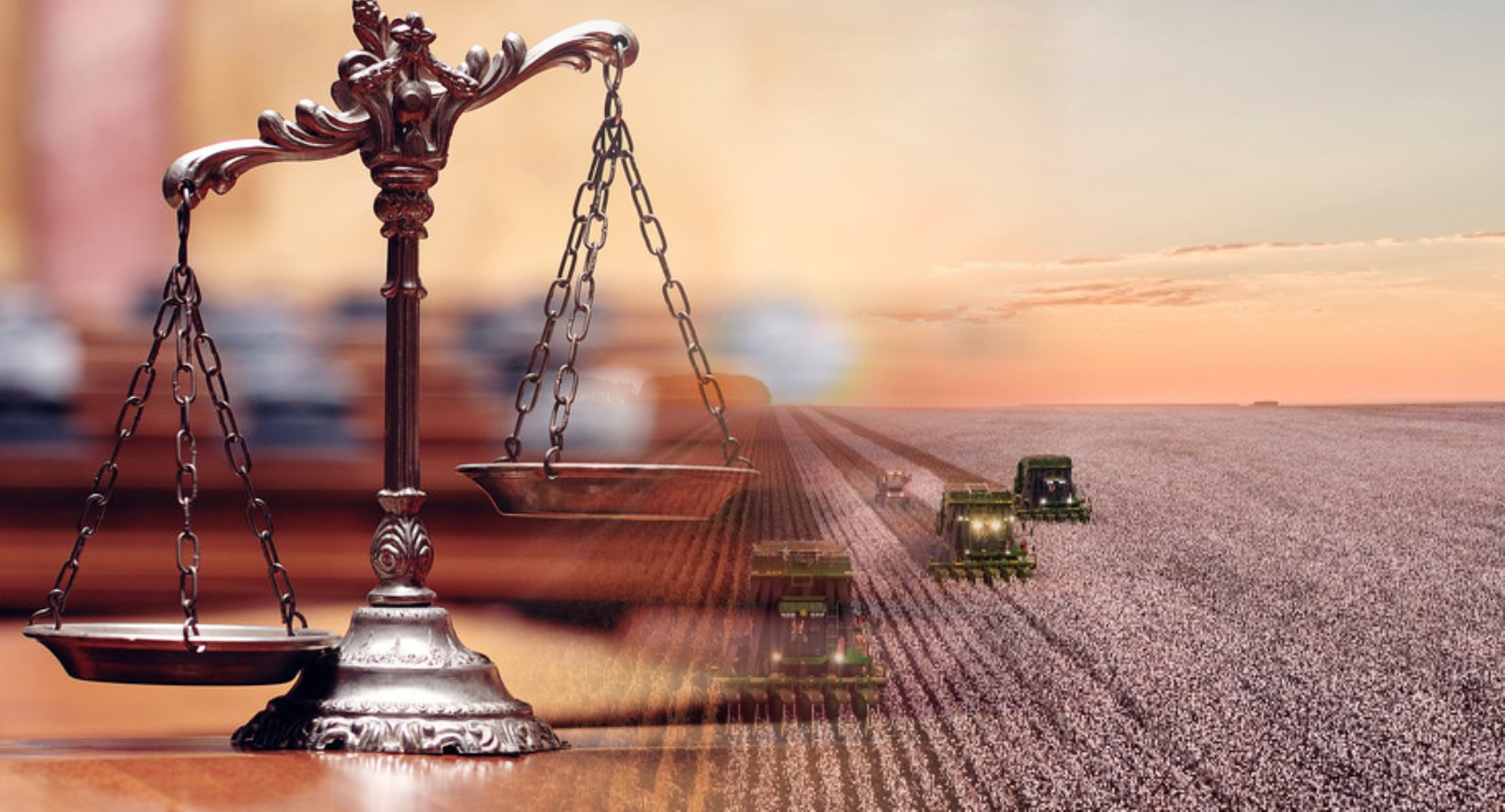 Pesquisa Indica que o Mundo Precisa de Mais um 'Brasil' em Terras Agrícolas na Próxima Década