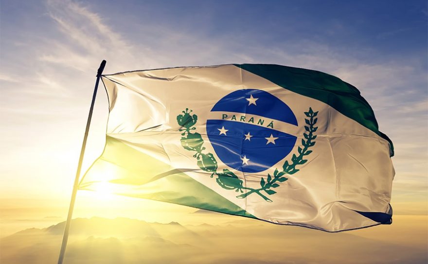 Paraná consolida posição de destaque na produção de frangos e suínos