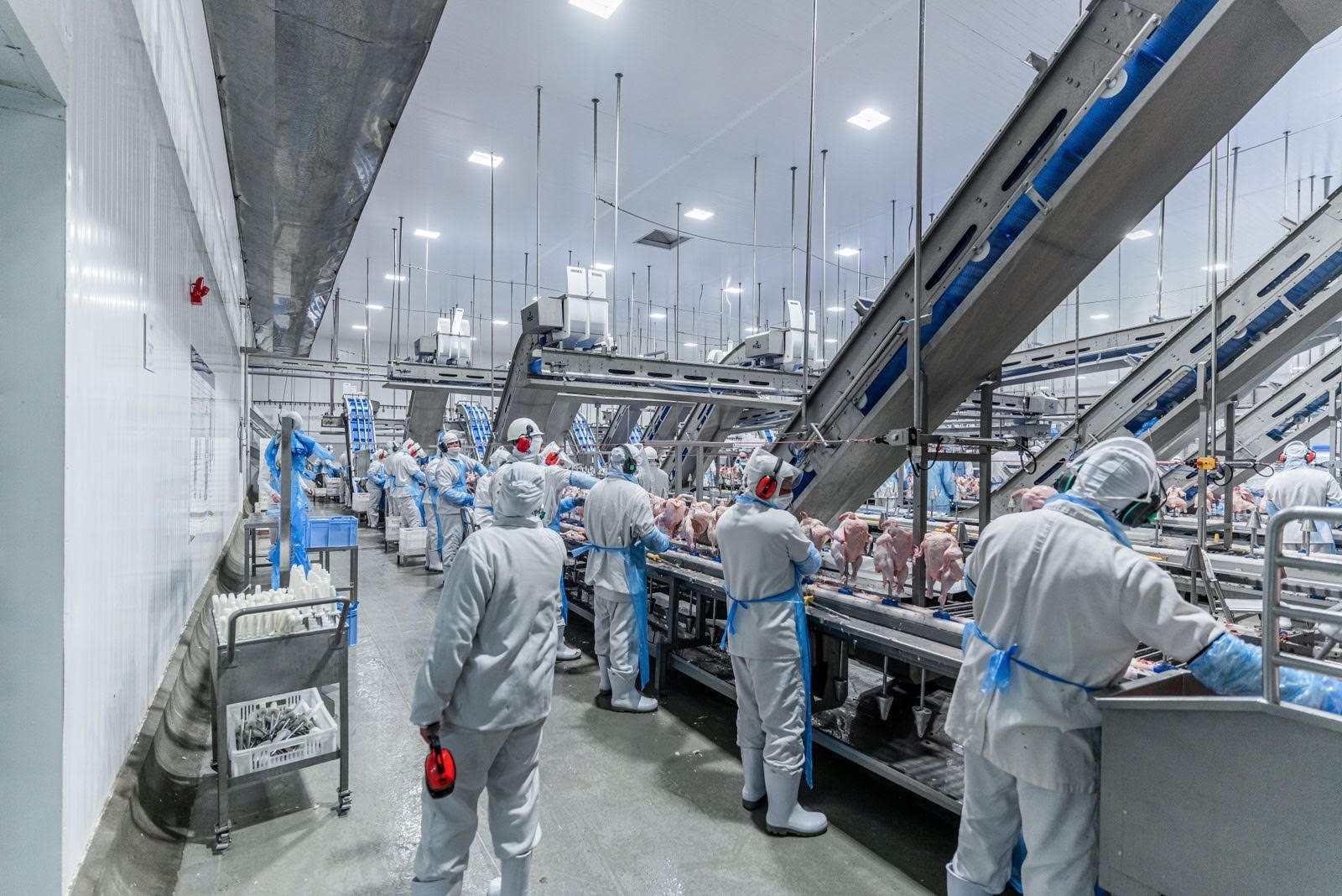 Seis frigoríficos brasileiros têm habilitação negada pela China por falhas de conformidade