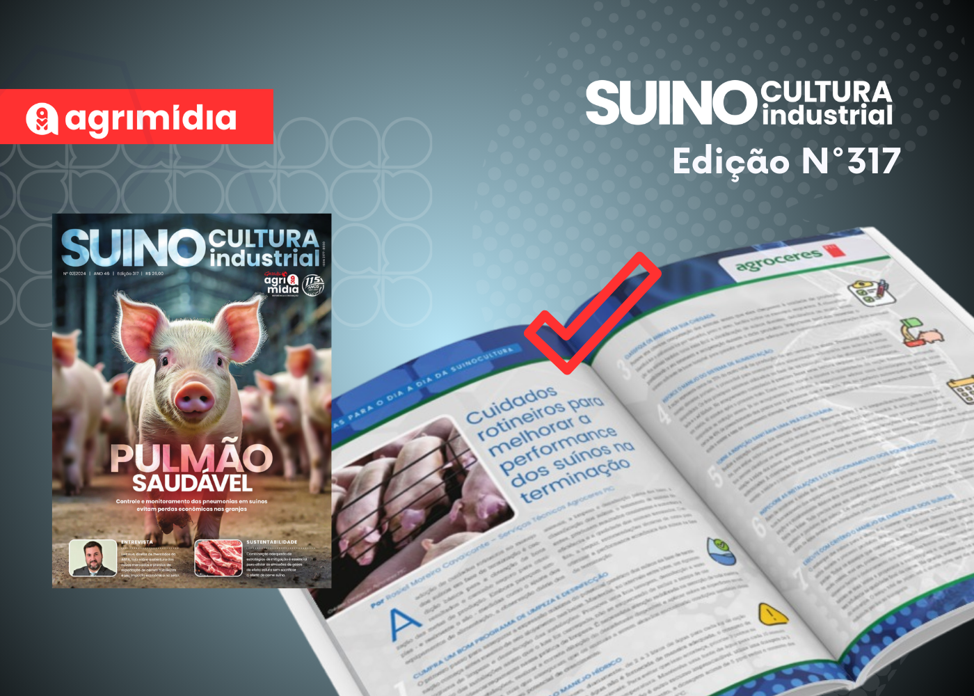 Cuidados rotineiros para melhorar a performance dos suínos na terminação