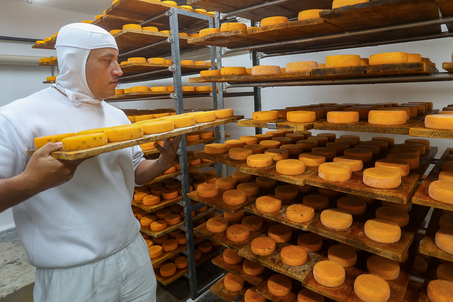 Paraná se consolida em geração de empregos no Sul com recordes de contratações Paraná se consolida em geração de empregos no Sul com recordes de contratações