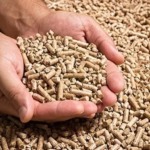 Sindirações projeta ano de crescimento e produção de rações deve beirar 90 Milhões de toneladas