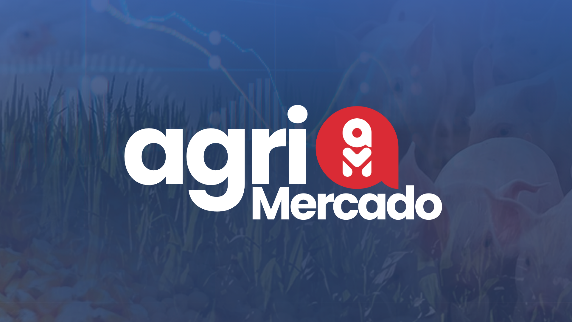 AgriMercado - Resumo da Semana