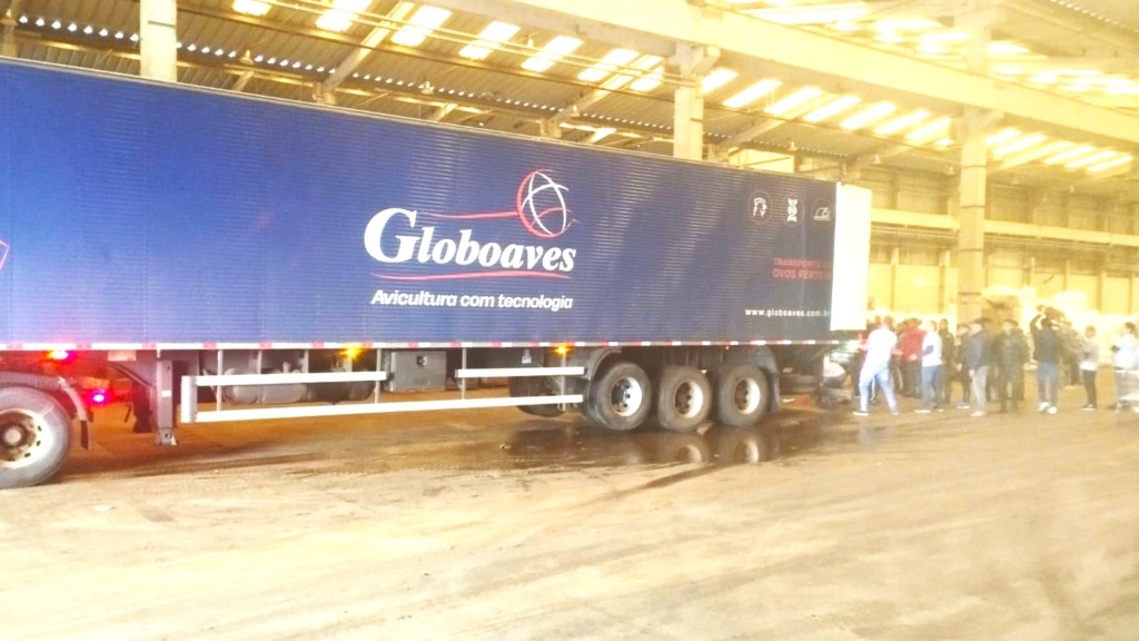 Globoaves mobiliza ajuda para o Rio Grande do Sul e arrecada 100 toneladas de doações Globoaves mobiliza ajuda para o Rio Grande do Sul e arrecada 100 toneladas de doações