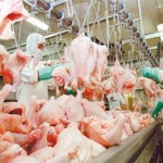 China mantém veto ao frango do Rio Grande do Sul apesar de liberação nacional