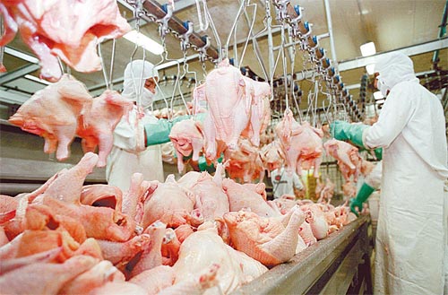Exportações de carne de frango crescem 10,5% em abril, informa ABPA