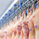Brasil alcança novo marco histórico na produção e comercialização de carne suína Brasil alcança novo marco histórico na produção e comercialização de carne suína