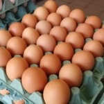 Preços dos ovos em queda pela segunda semana com aumento de estoques