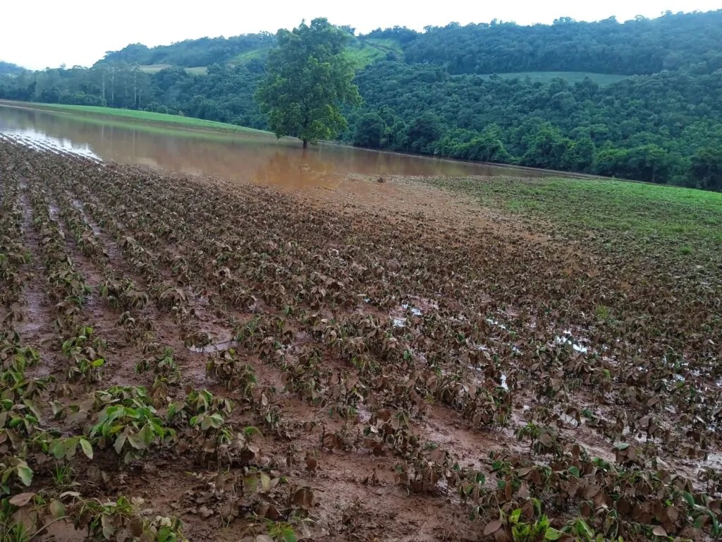 Suspensão de dívidas rurais no RS ampliada até 14 de agosto