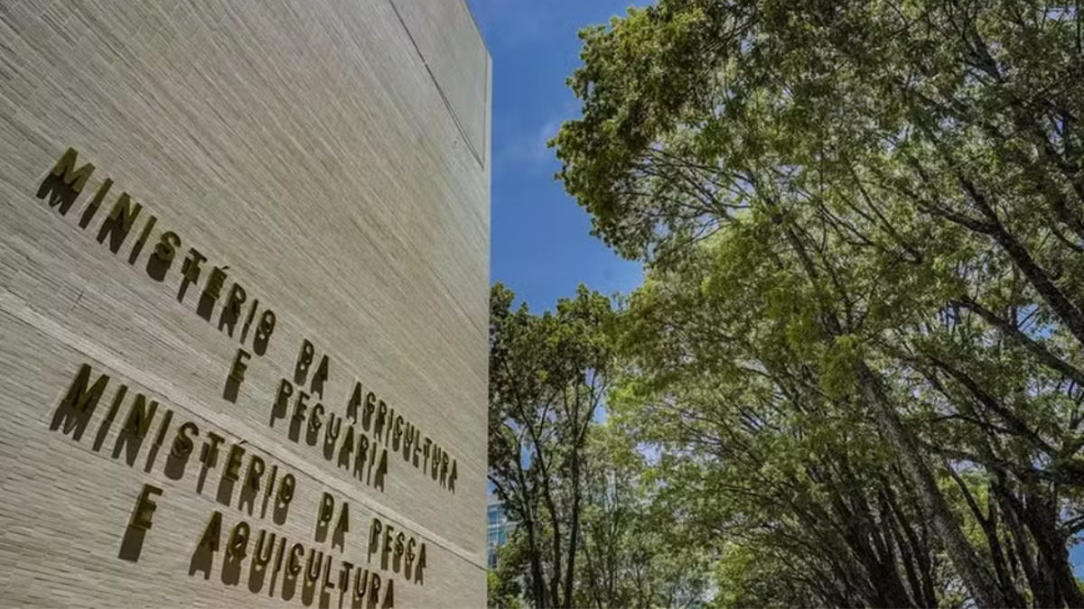 Concurso do Ministério da Pesca oferece mais de 200 vagas com salários de até R$ 6,1 mil