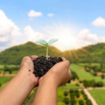 Agenda ambiental ganha protagonismo nas prioridades do agro brasileiro para 2026 Agenda ambiental ganha protagonismo nas prioridades do agro brasileiro para 2026