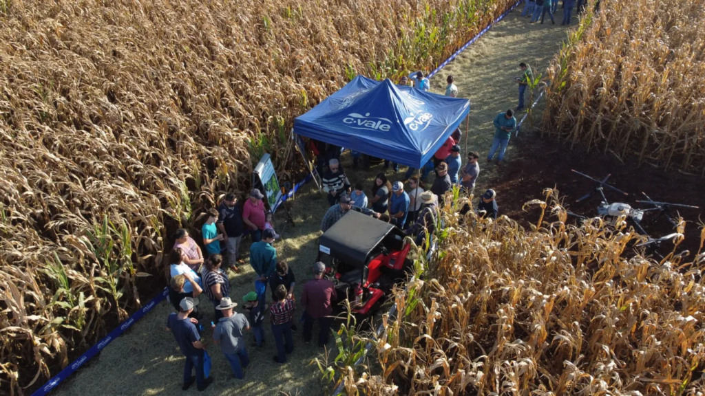C.Vale reúne mais de 300 produtores em Dia de Campo, na cidade de Assis Chateaubriand (PR) C.Vale reúne mais de 300 produtores em Dia de Campo, na cidade de Assis Chateaubriand (PR)