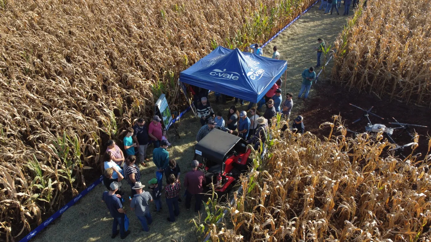 C.Vale reúne mais de 300 produtores em Dia de Campo, na cidade de Assis Chateaubriand (PR)