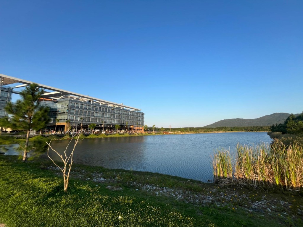 Governo de SC incentiva pesquisa com tainhas em lago artificial do Sapiens Parque em Florianópolis