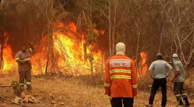 Incêndio: Mato Grosso do Sul declara emergência e convoca voluntários