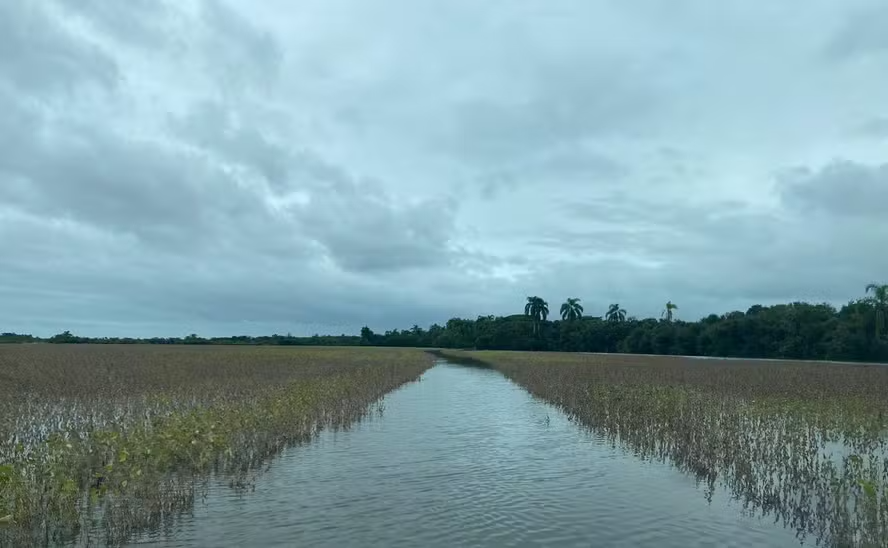 Fazenda de soja em Estância da Gruta (RS) inundada — Foto: Antonio Quinto Di Cameli