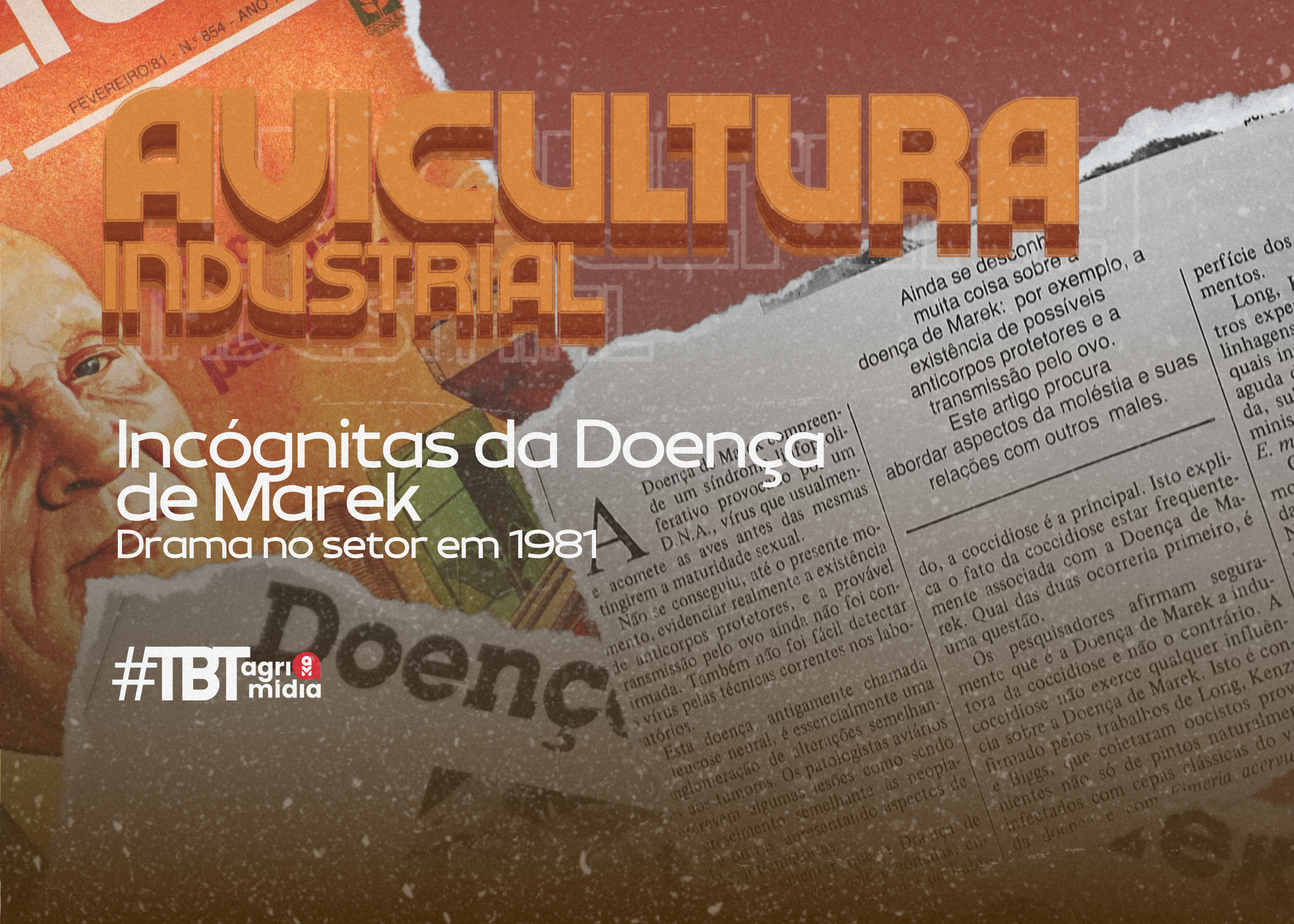 #TBTAgrimidia: Como a Doença de Marek Desafiou a Avicultura Industrial nos 'anos 80' #TBTAgrimidia: Como a Doença de Marek Desafiou a Avicultura Industrial nos 'anos 80'
