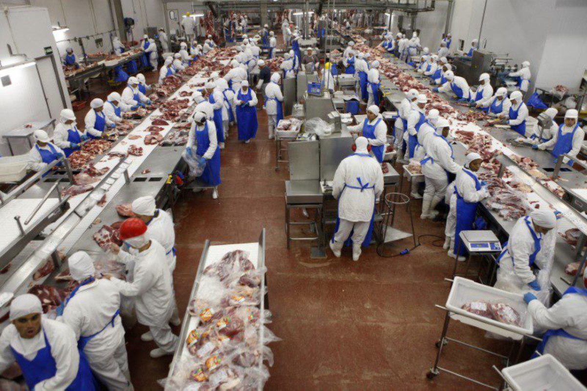 Marfrig pode receber R$ 1,8 bi em dividendos da BRF; ação dispara