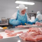 Retomada da China impulsiona expectativas e Brasil registra 2º maior volume de exportações de carne de frango da história