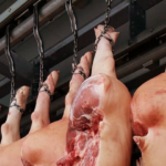 Filipinas veta carne suína da Espanha e Taiwan após surtos de Peste Suína Filipinas veta carne suína da Espanha e Taiwan após surtos de Peste Suína