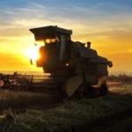 Agroindústria recua 0,3% em novembro de 2025 e reflete desaceleração da economia, aponta FGVAgro